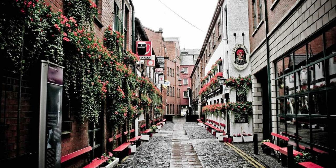 Roof Top Garden Apartments Belfast Buitenkant foto